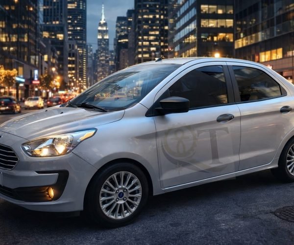 WhatsApp Image 2026-01-17 at 21.45.40